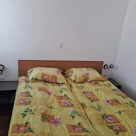 Danica Kranjska Gora